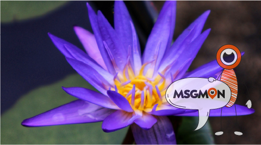 둘만의 힐링 루틴, 만들기