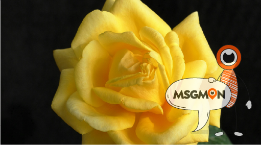 로미로미 코스, 이렇게 진행돼요