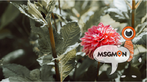 지친 날 딱 어울리는 선택