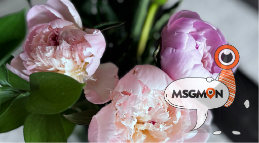 꼭 예약해야 하나요?