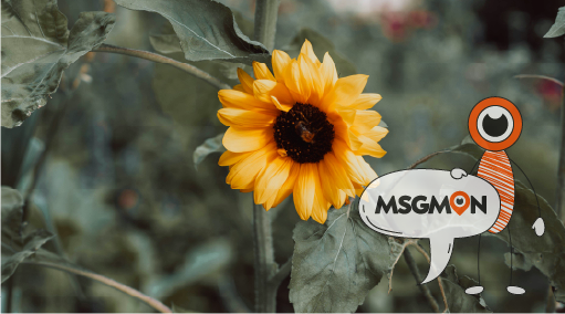 아로마 마사지의 효과