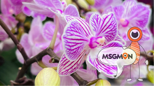 어떤 효과가 있을까?