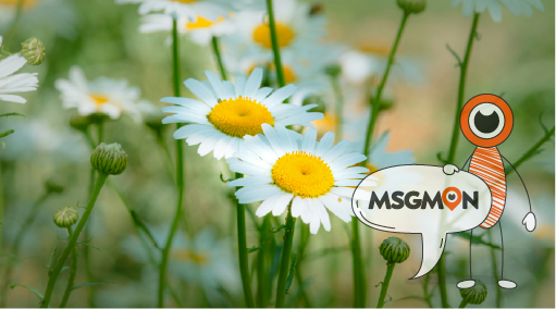 커플끼리 받는 마사지?