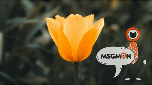 숙면을 부르는 천연 수면제