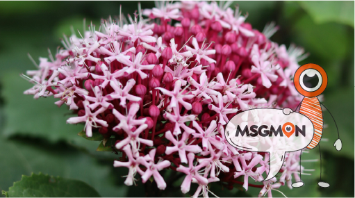 이런 분들께 추천!