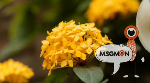 피로회복에 탁월