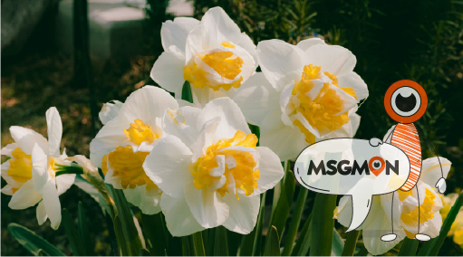 단순 마사지가 아닌 감성!