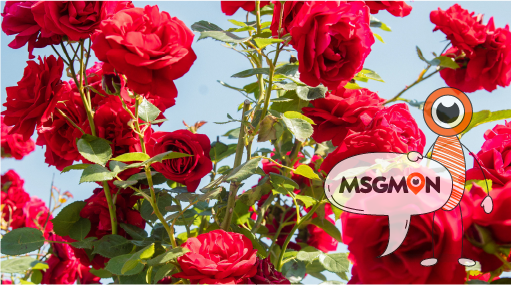 마음까지 챙기는 건강관리