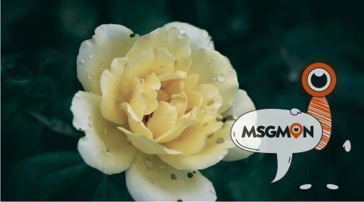 선번마사지는 뭐냐고요?