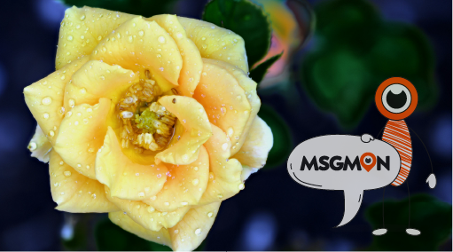 단순 근육 마사지와 뭐가 다를까?