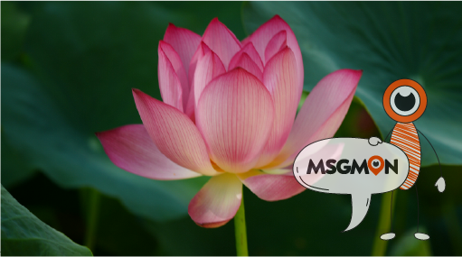 아로마 스웨디시 한줄 요약