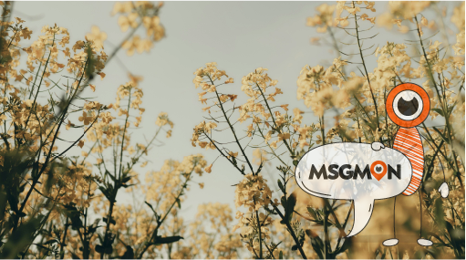 구분하는 눈이 필요해요