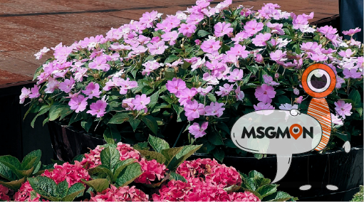 프로그램 이름을 눈여겨보자