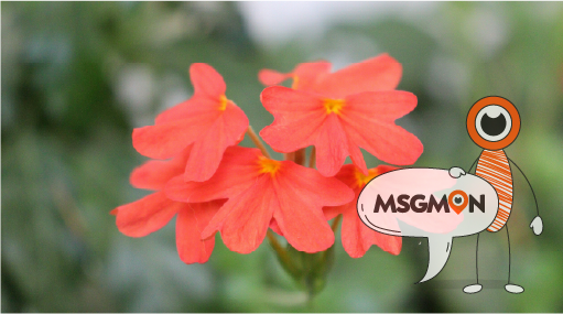 감성 충전 힐링 코스