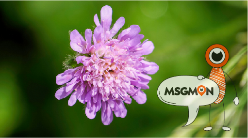 추천 포인트 3가지