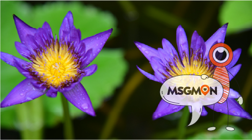 하루 3~4번, 1분씩만 OK!