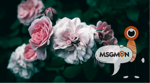 왜 알로에일까?