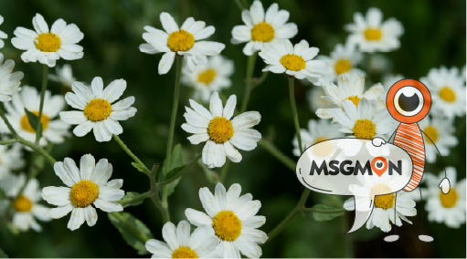 밝혀낸 마사지의 비밀