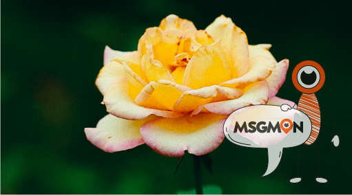 예약하면 좋은 이유