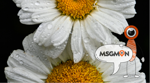 로드샵, 예약 없어도 OK?