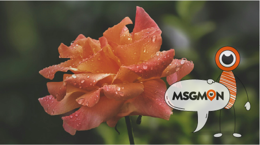 아로마 스웨디시 뜻?