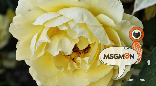 로드샵 VS 개인샵 예약 방식 차이