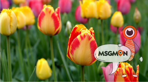 ‘시원하다’는 느낌, 왜 생길까?