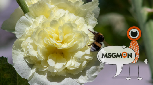 아로마 마사지 뜻