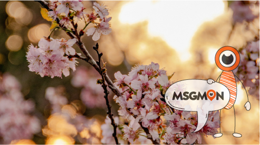 여행 중에 피부도 힐링하자