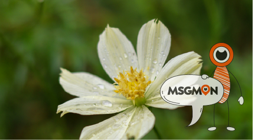 예약 없이 방문?