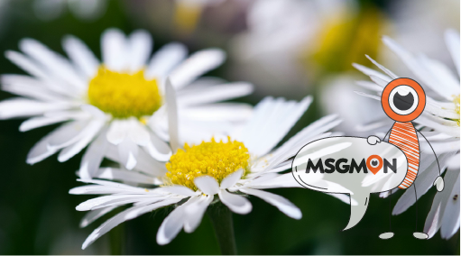 습식 마사지란?