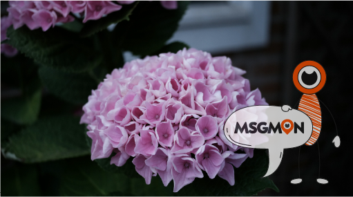 결론! 그냥 가도 되나요?