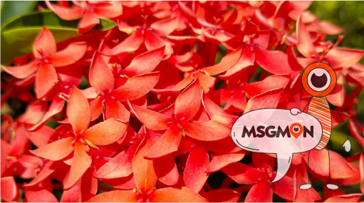 꼼꼼한 전신 관리