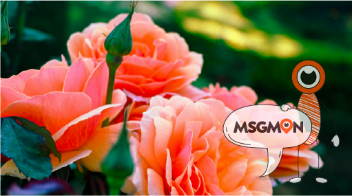 내 몸에 맞는 마사지?