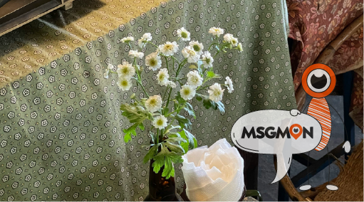 하이드로 & 해수 테라피