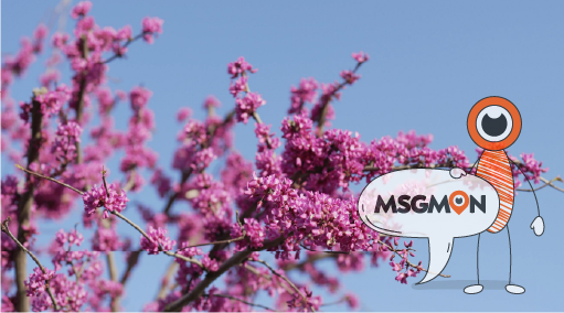 본격적인 타이마사지 순서