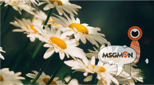 한국의 특별한 힐링법