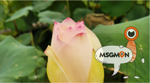 다른 나라와는 뭐가 다를까?