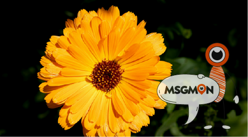 몸과 마음, 그리고 감각