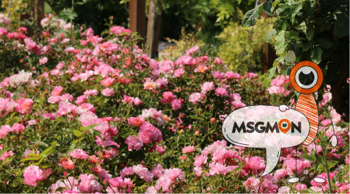 마사지를 누가 하나요?