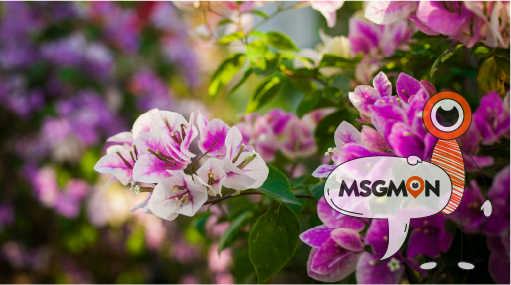 가격보다 구성이 중요!