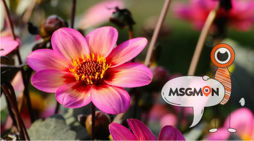 아로마테라피, 향기로운 힐링