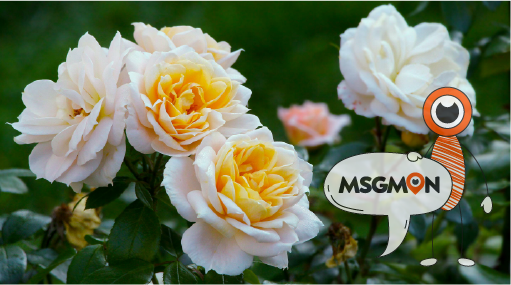 나만의 마사지로 힐링 시작