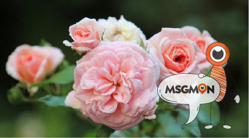 명상, 마음까지 풀어주는 조합