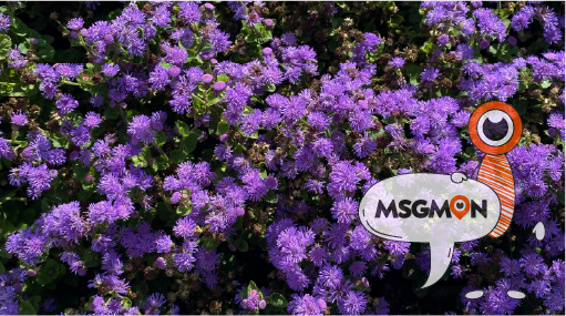 스포츠 마사지, 근육통 완화