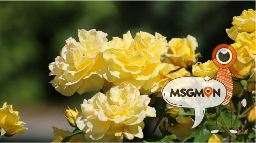 찰떡궁합 힐링 조합