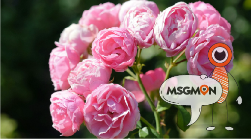 아로마 향기, 힐링의 완성