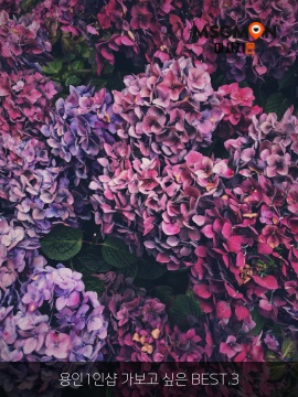 용인1인샵 가보고 싶은 BEST.3