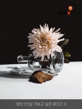 양산1인샵 가보고 싶은 BEST.3