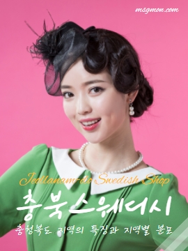 충청북도 스웨디시 지역의 특징과 지역별 분포